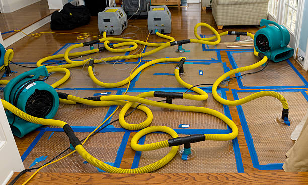 Professional Burst Pipe Water Damage technician working in Lewisburg, TN